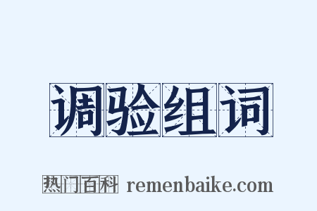 调验组词是什么意思的图片